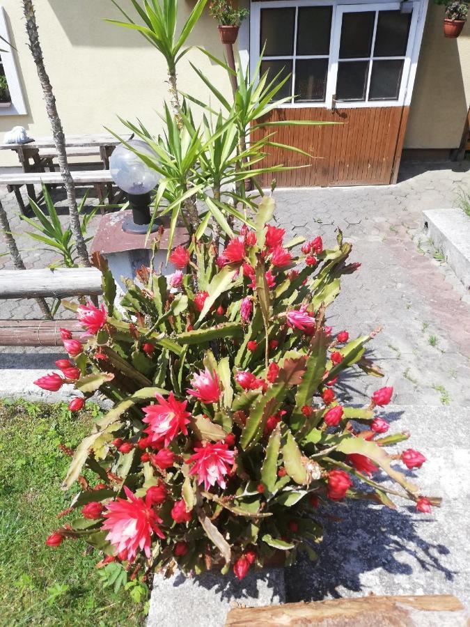 Penzion Baltazar Liptovska Luzna Zewnętrze zdjęcie