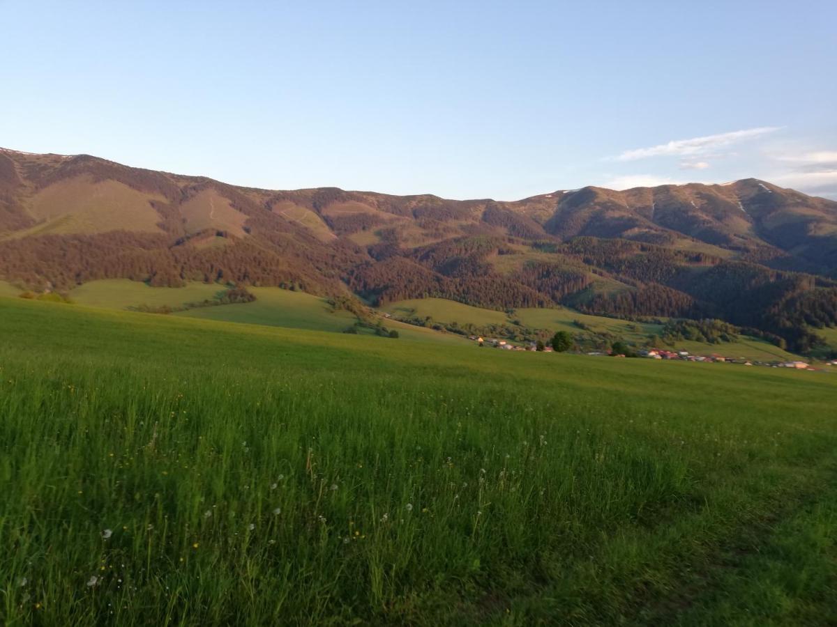Penzion Baltazar Liptovska Luzna Zewnętrze zdjęcie